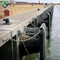 Pertahanan Umur Panjang Supper Cone Marine Dock Fender BV CCS Disetujui